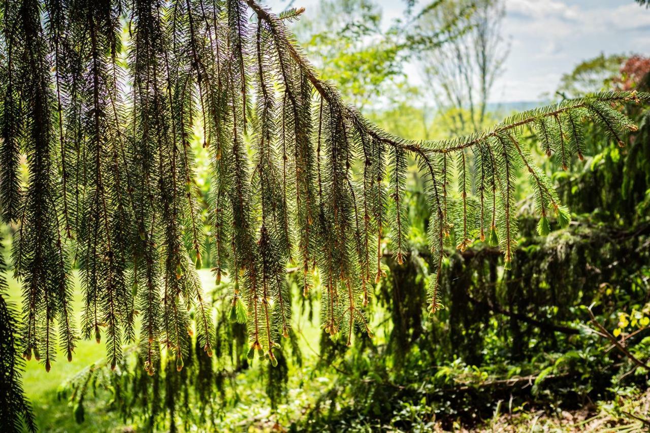 Gemuetliches, Heimeliges Ferienhaus Gars am Kamp Buitenkant foto
