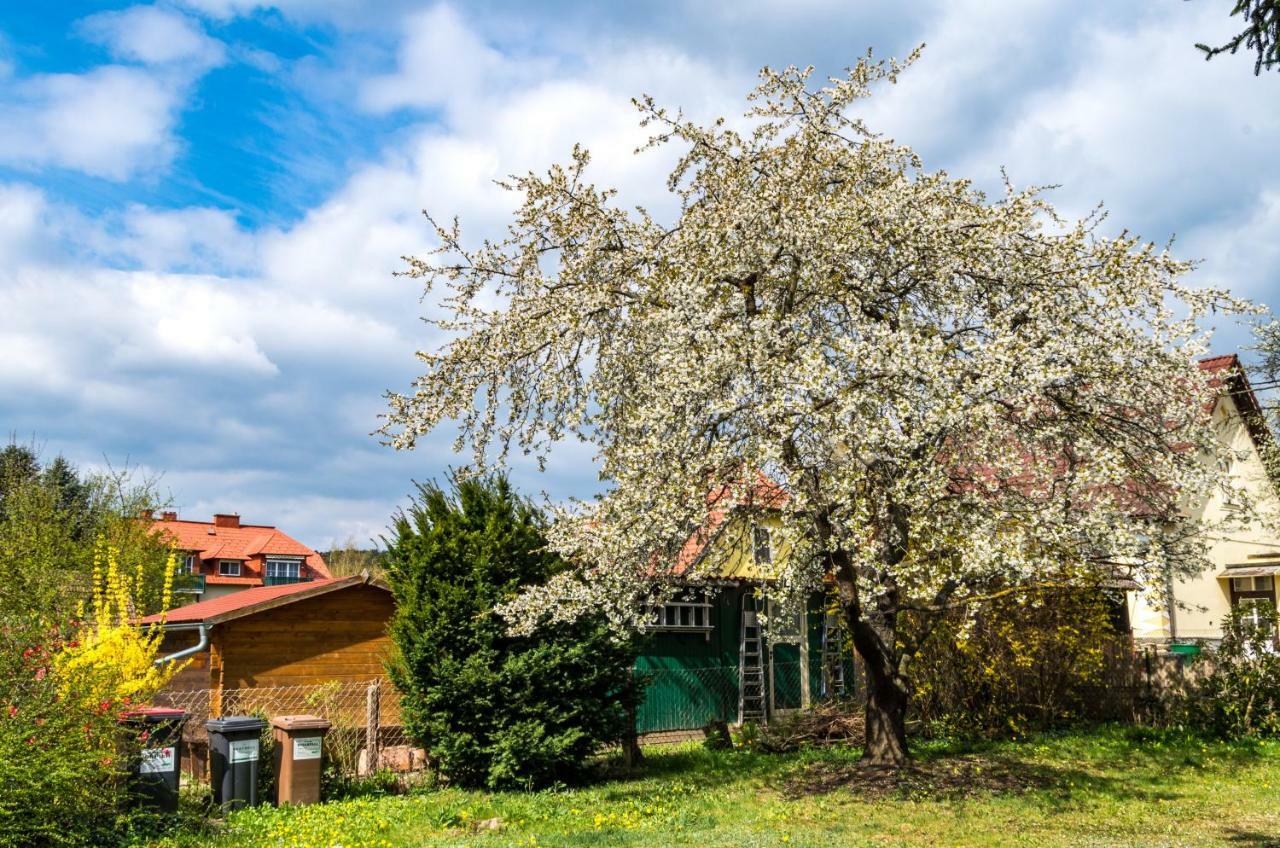 Gemuetliches, Heimeliges Ferienhaus Gars am Kamp Buitenkant foto